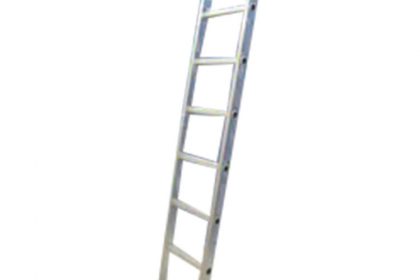 Vertical Ladder