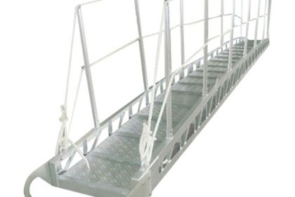 safety ladder (2)